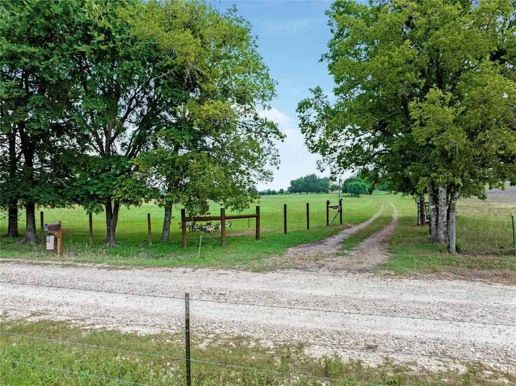 1229 Willow Springs exterior 5